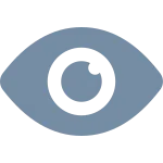 Eye SVG Icon